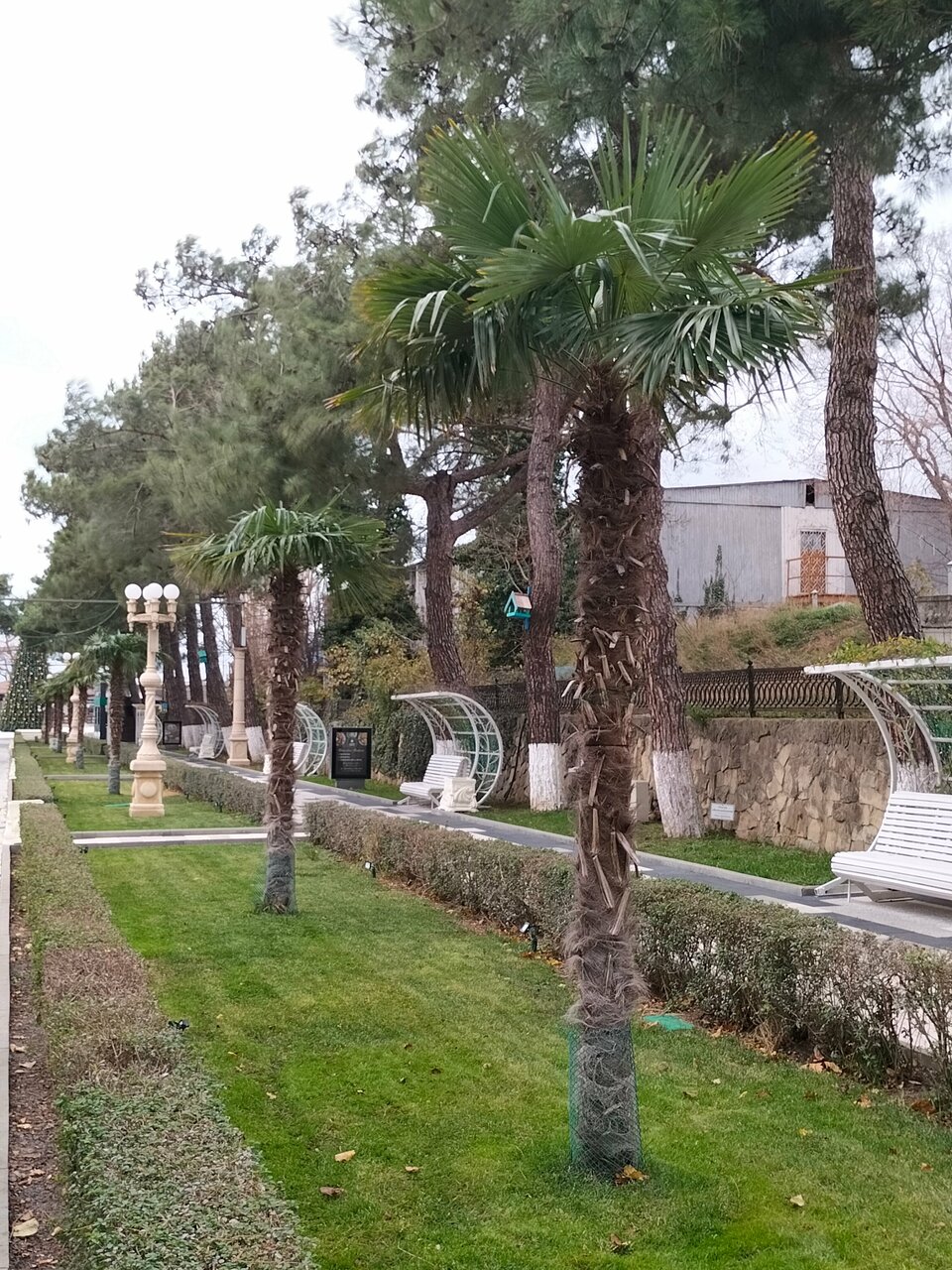 Отель Кастро Кабардинка-222