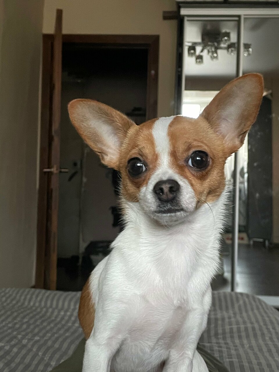 Отель Кастро Кабардинка-193