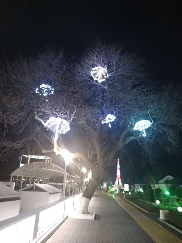 Отель Кастро Кабардинка-200