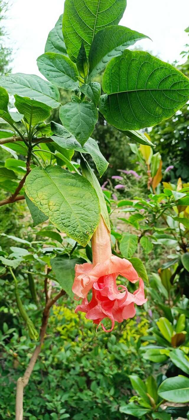 Отель Кастро Кабардинка-145